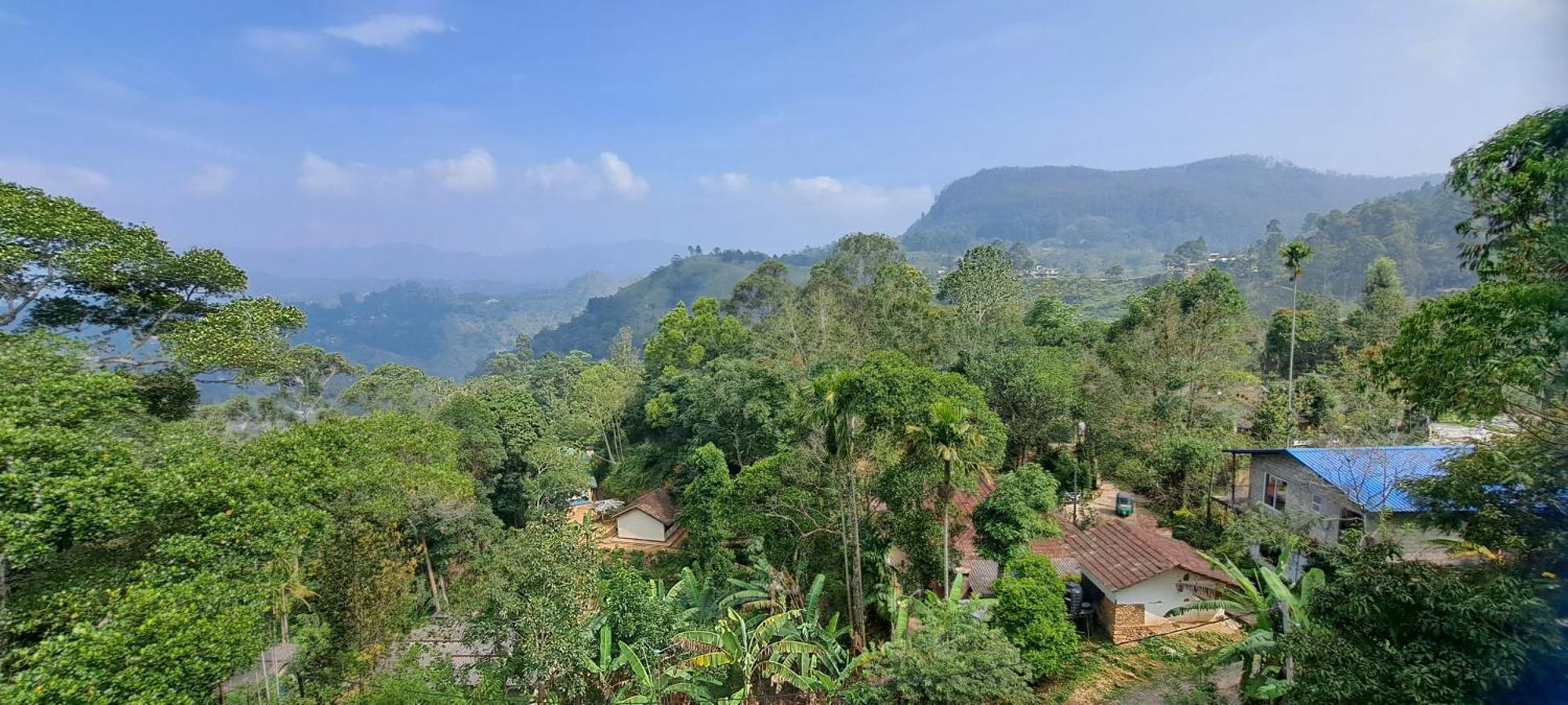 The " Onex Paradise " เอลลา ภายนอก รูปภาพ