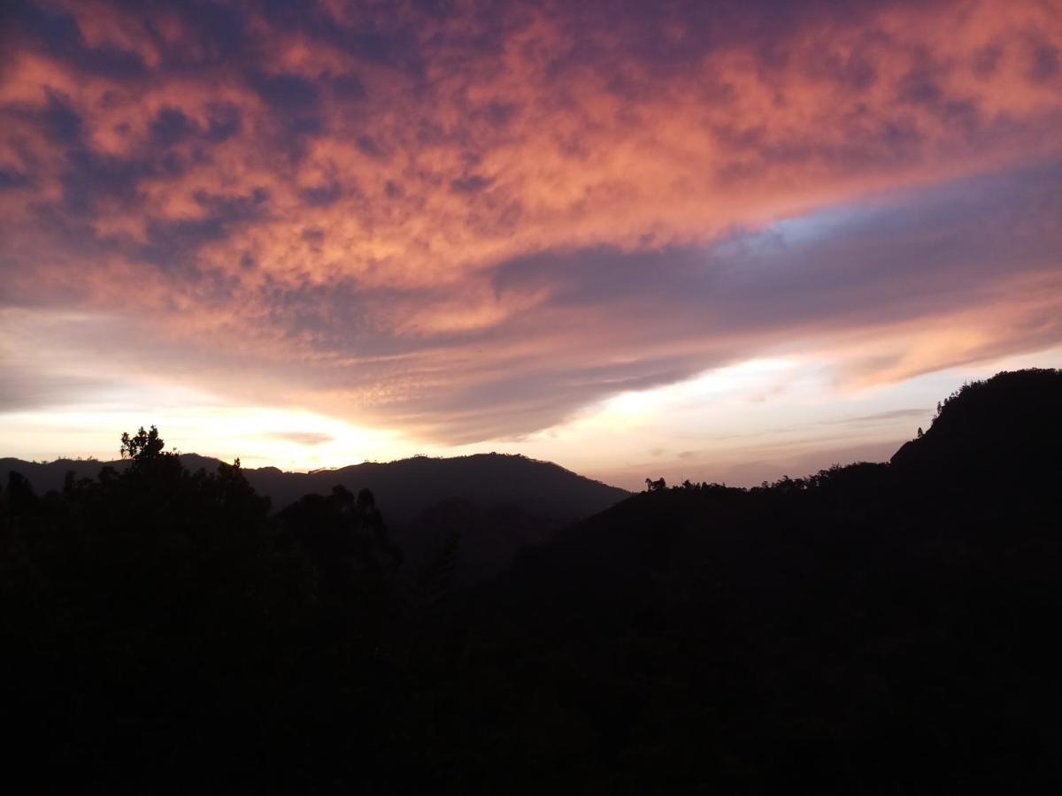 The " Onex Paradise " เอลลา ภายนอก รูปภาพ